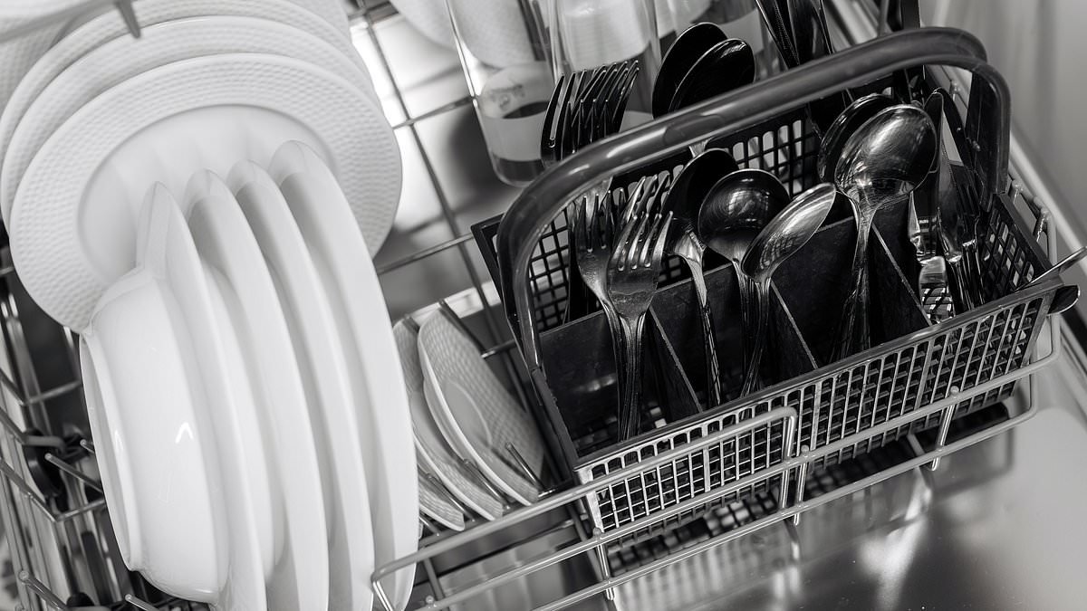 You're loading your dishwasher WRONG! Experts reveal exactly how to pack your crockery - and why you should NEVER pre-rinse dishes