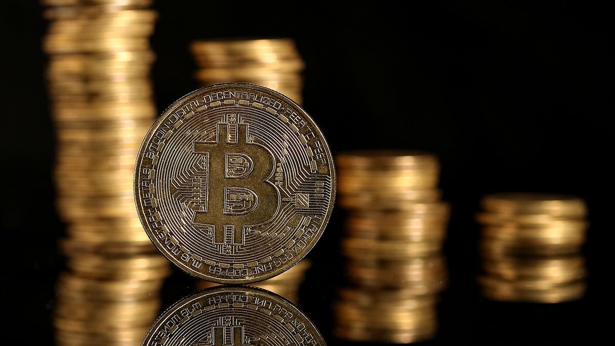 Bitcoin is useless AND worthless, says HAMISH MCRAE: Digital currency will sink to zero