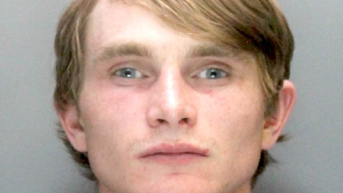 Nearly 630 drivers dodge jail in last five years despite being found criminally responsible for death crashes