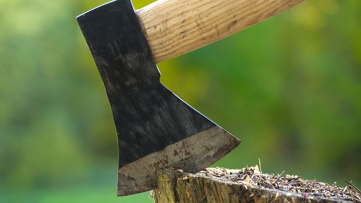 I'm 50 - will the state pension be abolished by the time I retire? STEVE WEBB replies