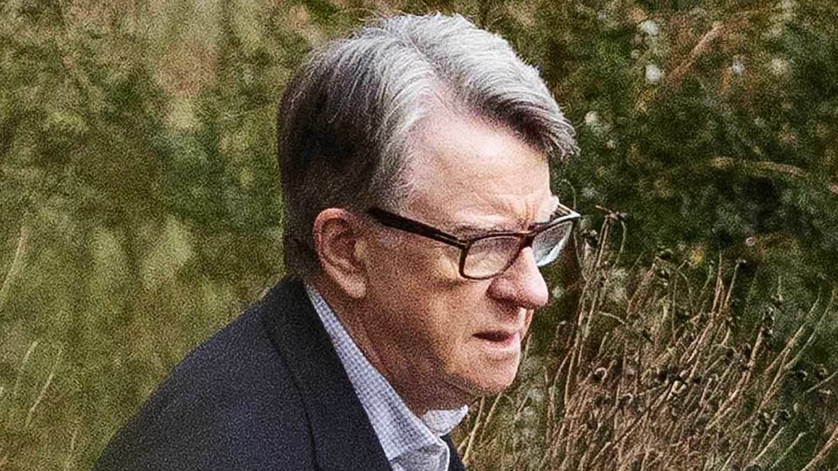 Peter Mandelson's lobbying firm collapses into administration as clients cut ties after revelations over his links to Jeffrey Epstein