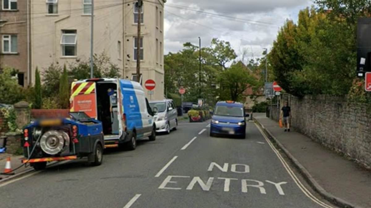 Hunt launched after woman 'is sexually assaulted by stranger in broad daylight'