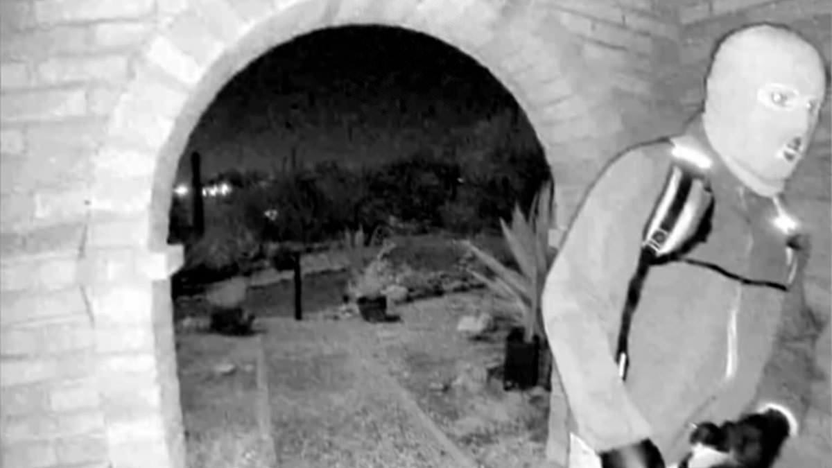 What REALLY happened to Nancy Guthrie? Seven weeks after the TV anchor's mother vanished from her home, GUY ADAMS sifts through the clues in the kidnap mystery gripping the world