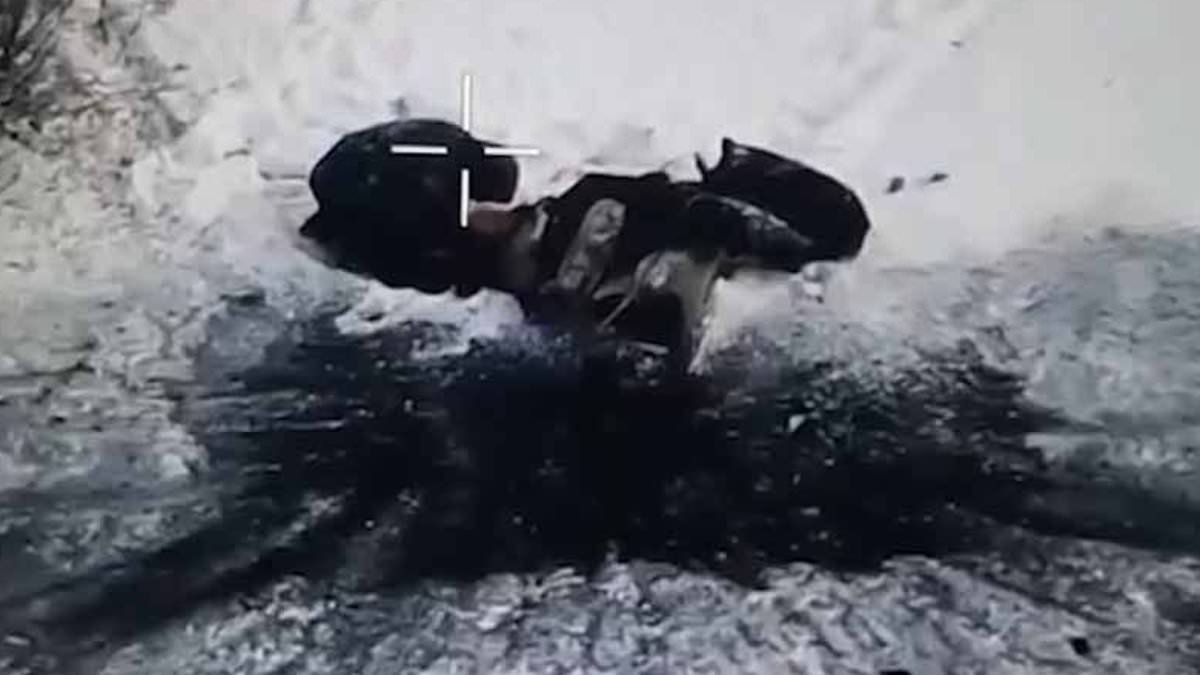 The married couple slaughtered by Putin: Wife is blown up fleeing advancing troops... then Russian drone pilot kills heartbroken husband who couldn't bare to leave her body behind