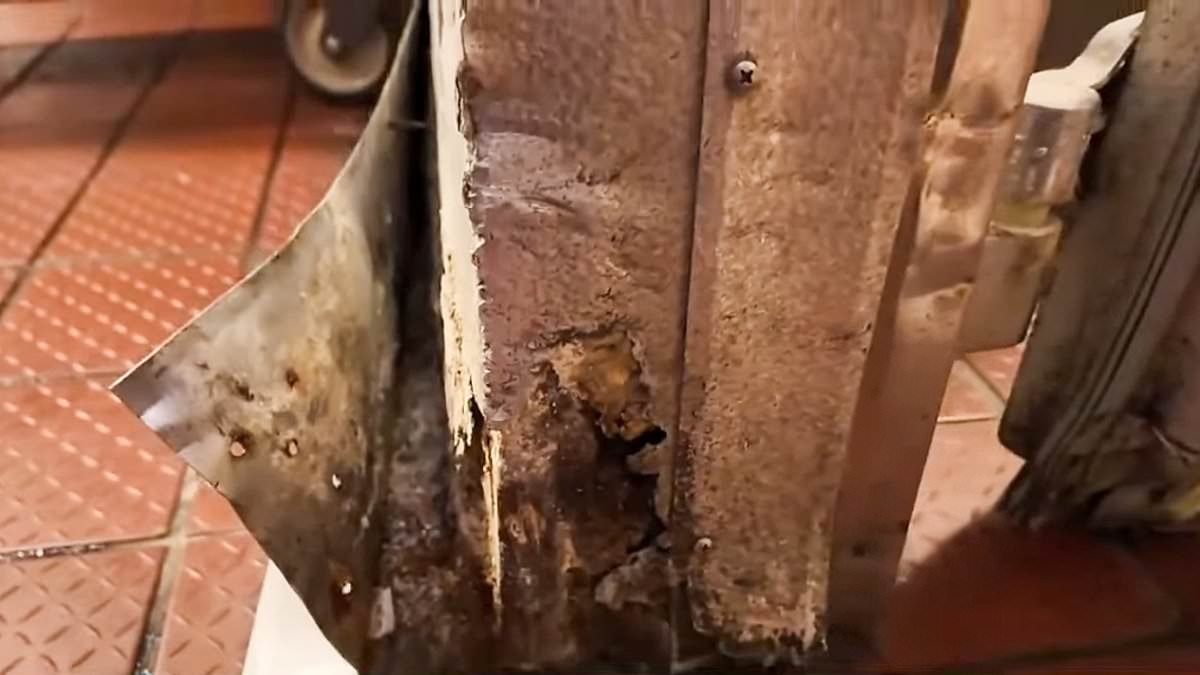 America's 'dirtiest Wendy's' that is filled with black mold and stagnant water, with owner ignoring workers' pleas for help