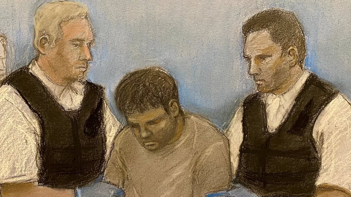 Afghan refugee who 'killed dogwalker and injured landlord after row over being evicted' fit to stand trial for murder, court told