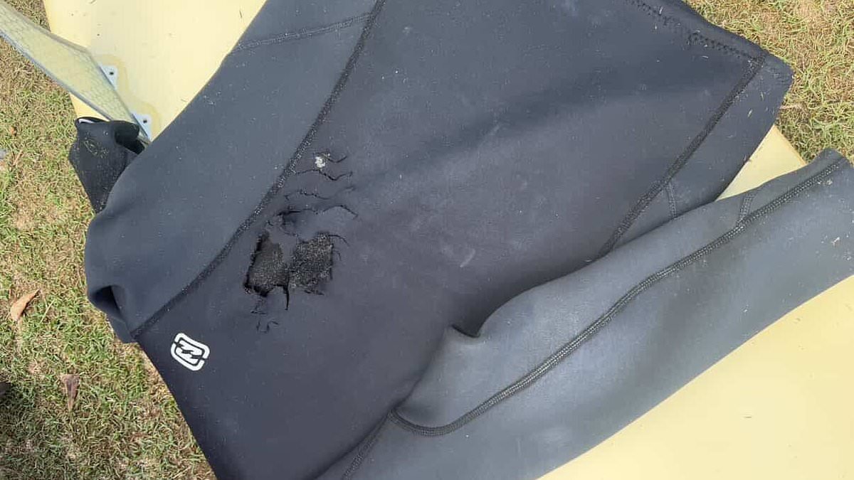 Surfer is injured in FOURTH shark attack to rock Australian state in 48 hours