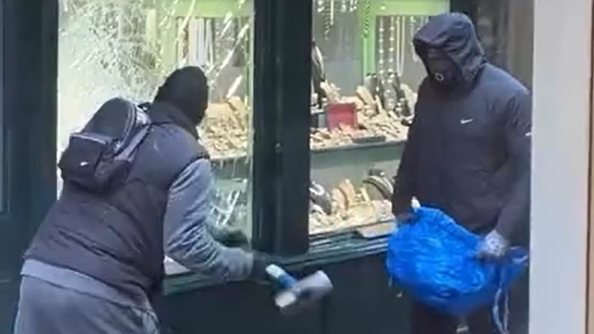 Moment hammer-wielding thugs break into family-run jewellers in leafy London suburb while brave staff desperately save what they can in brazen daytime heist