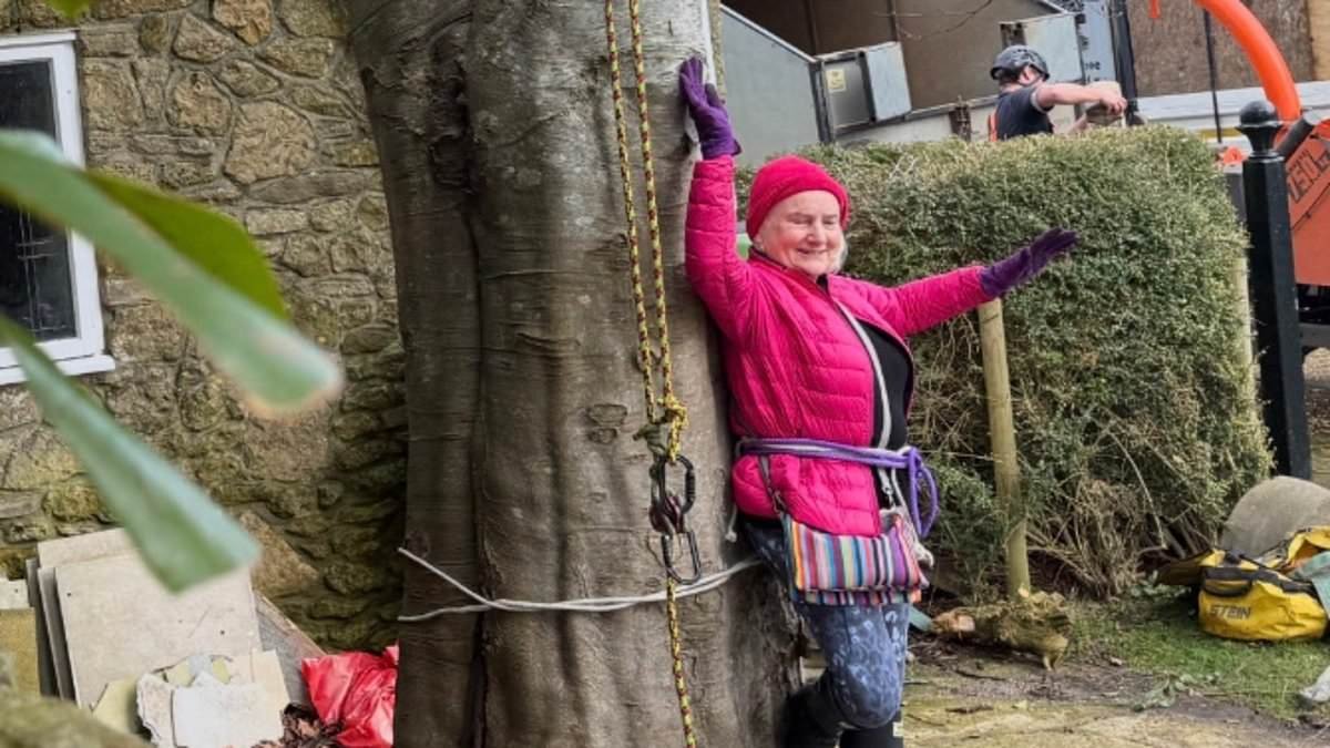 Moment pensioner, 73, ties herself to beloved 50ft tree to save it in row with neighbour at £800,000 home