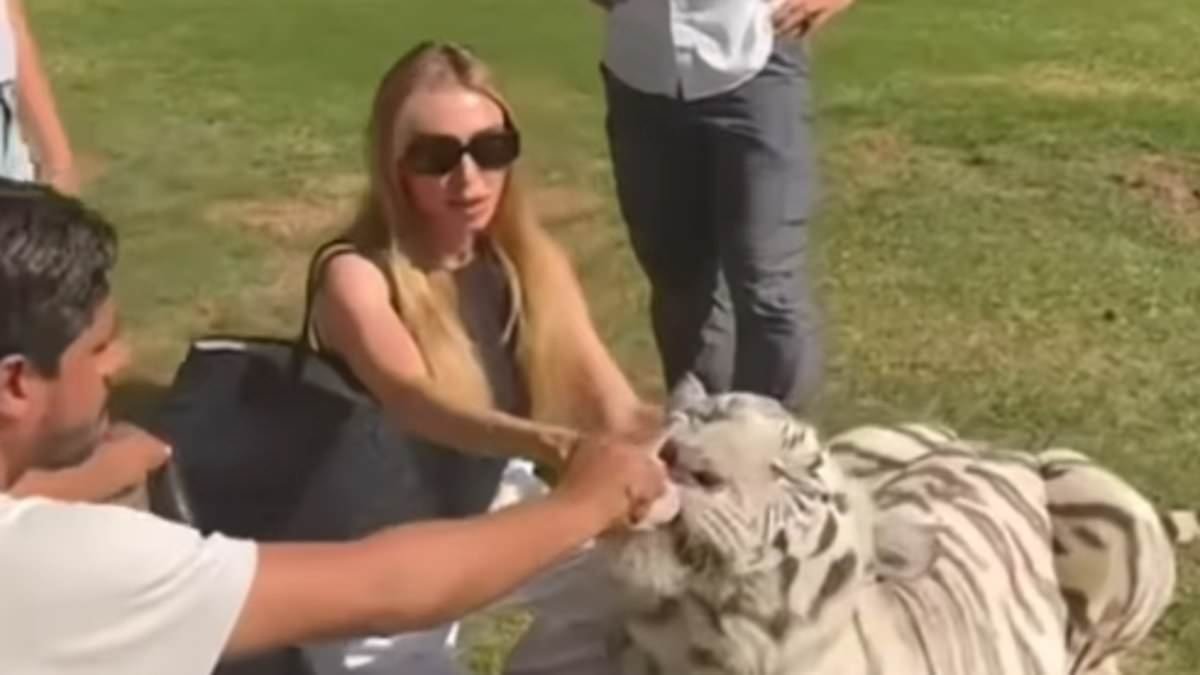 Petra Ecclestone is slammed by PETA for 'shameful and dangerous' video of family trip to animal sanctuary where they petted tigers and played with orangutans in Dubai