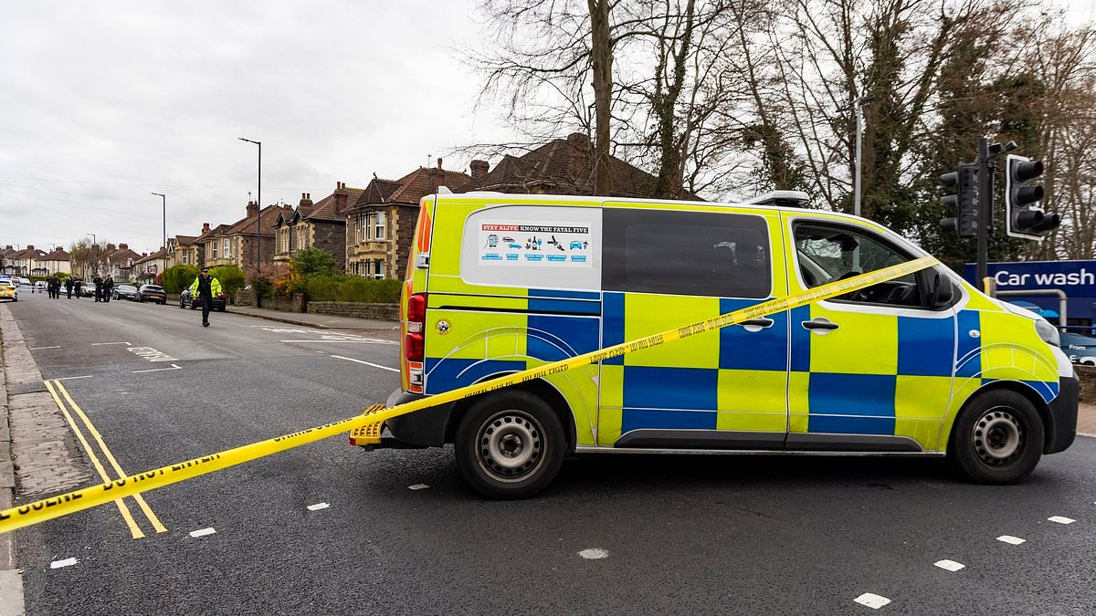 Three schools plunged into lockdown as police launch manhunt for gunman following shooting