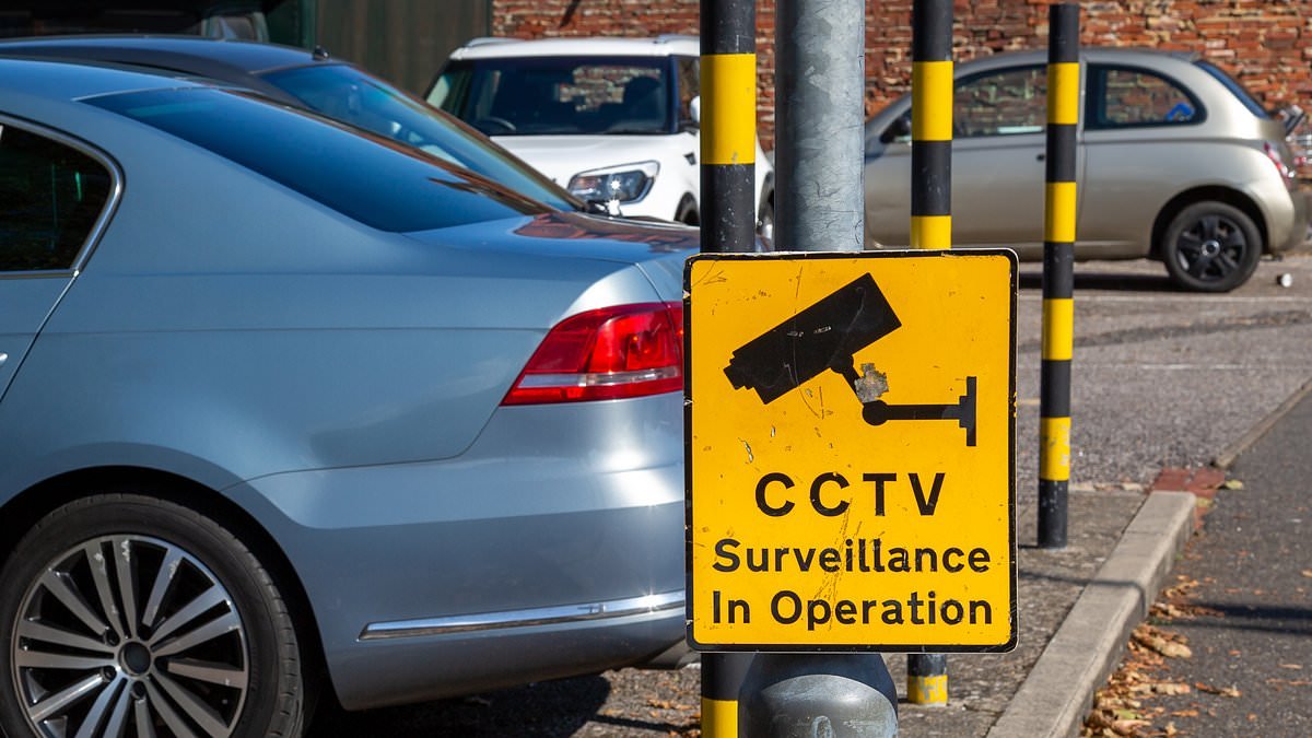 Drivers receiving unjust parking fines due to poorly placed ANPR cameras and spike in vehicle cloning, investigation finds