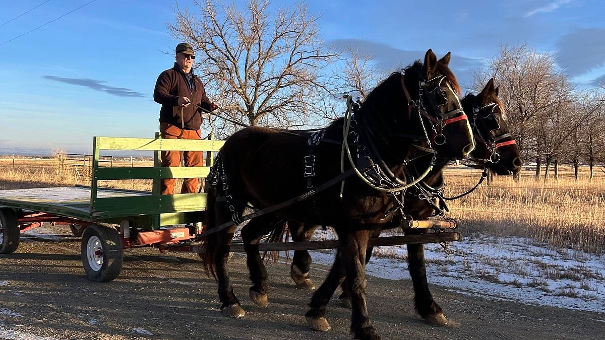 Farmer banned from McDonald's after using Drive-Thru in horse and wagon