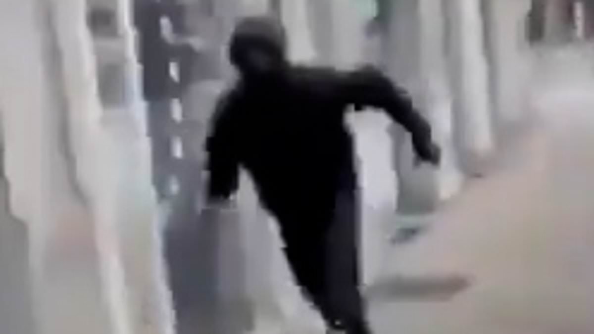 Moment yob hurls live hand grenade into French beauty salon to injure six people including five-year old girl in blast