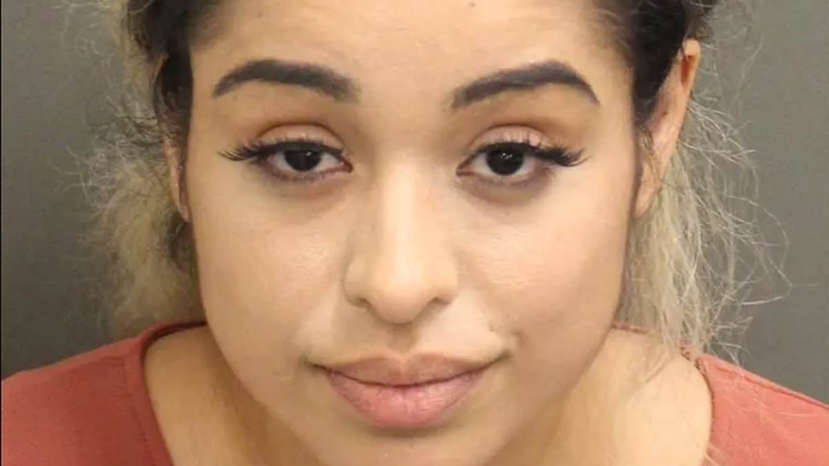 Rihanna's alleged house shooter appears in court for first time since arrest for opening fire on mansion