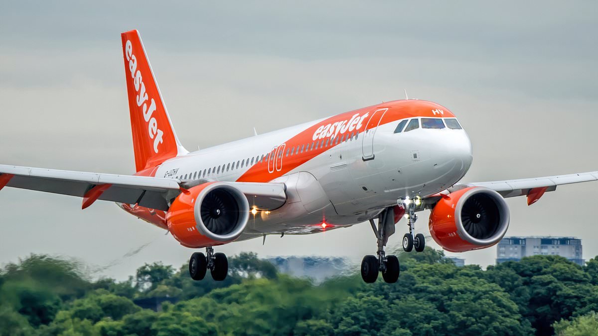 Easyjet captain is forced to abort landing after wedding procession set off fireworks near Paris airport runway
