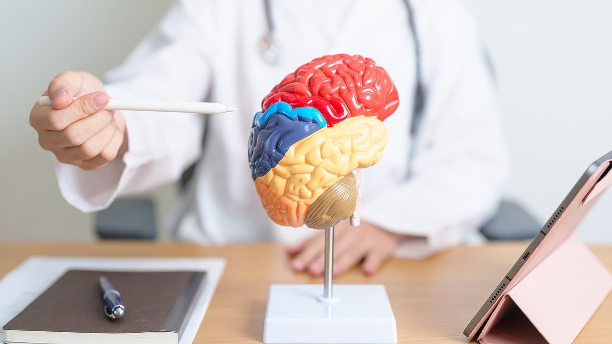 People who are most active in the afternoon could be at increased risk of dementia, study finds