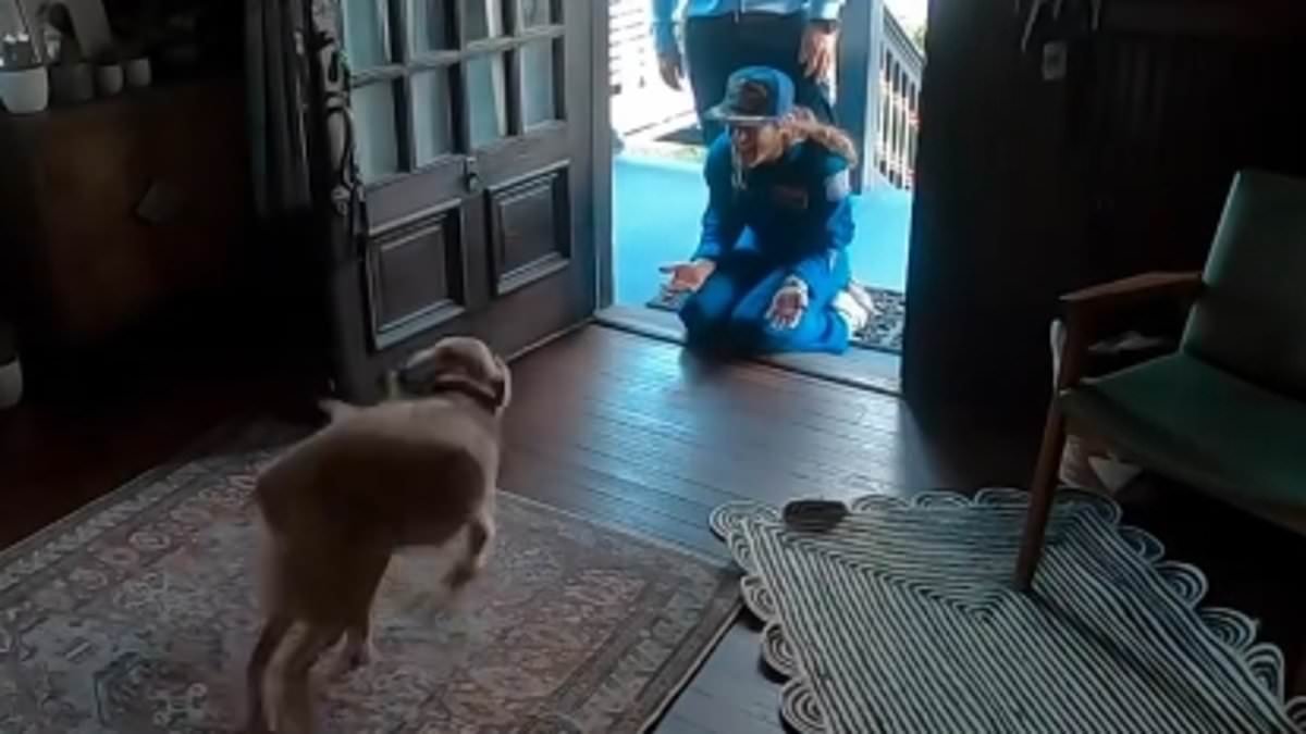 Adorable moment Artemis crew member returns home to a VERY happy dog