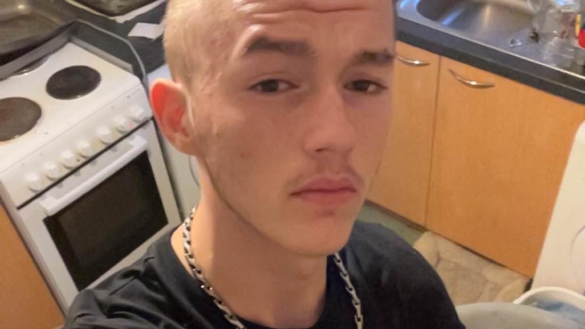 Inquest opens into death of man who was Tasered by police and hit by car after getting out of ambulance on motorway