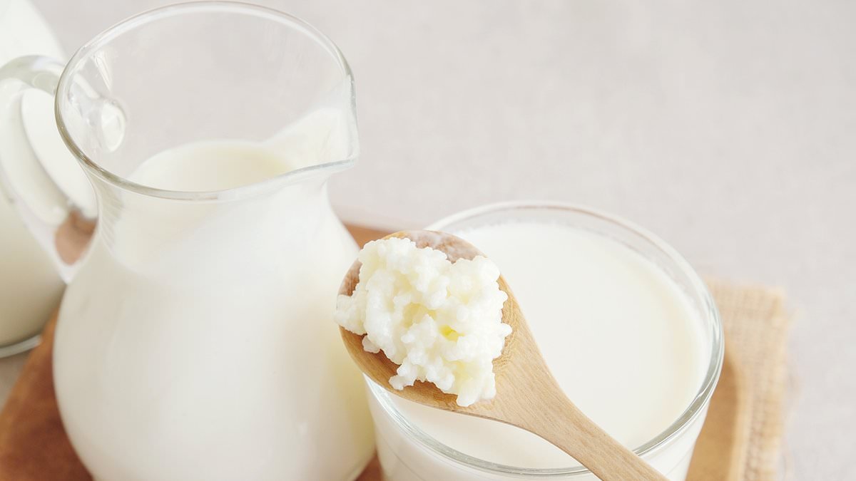 The sour truth about kefir: Experts reveal how trendy 'off-milk' drink can destroy your gut health