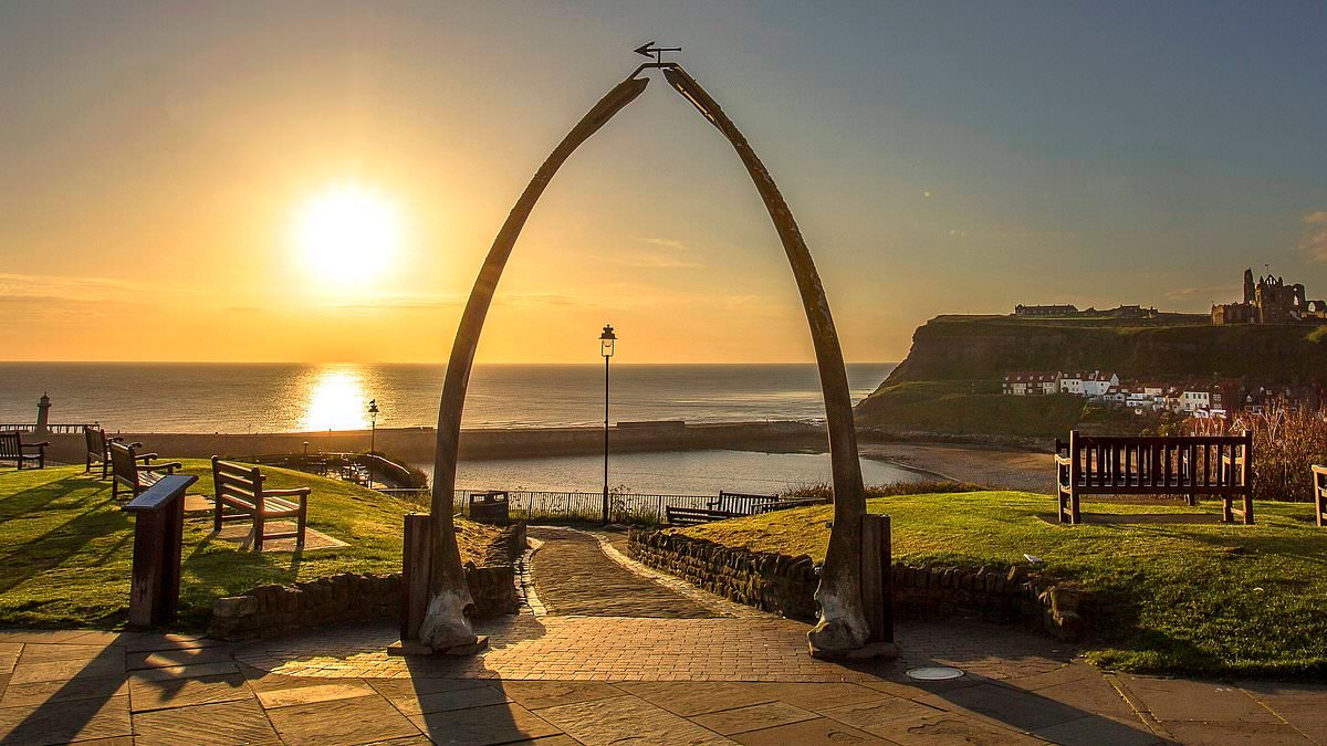 Row erupts over iconic sculpture in Yorkshire seaside beauty spot as council considers real whale bones