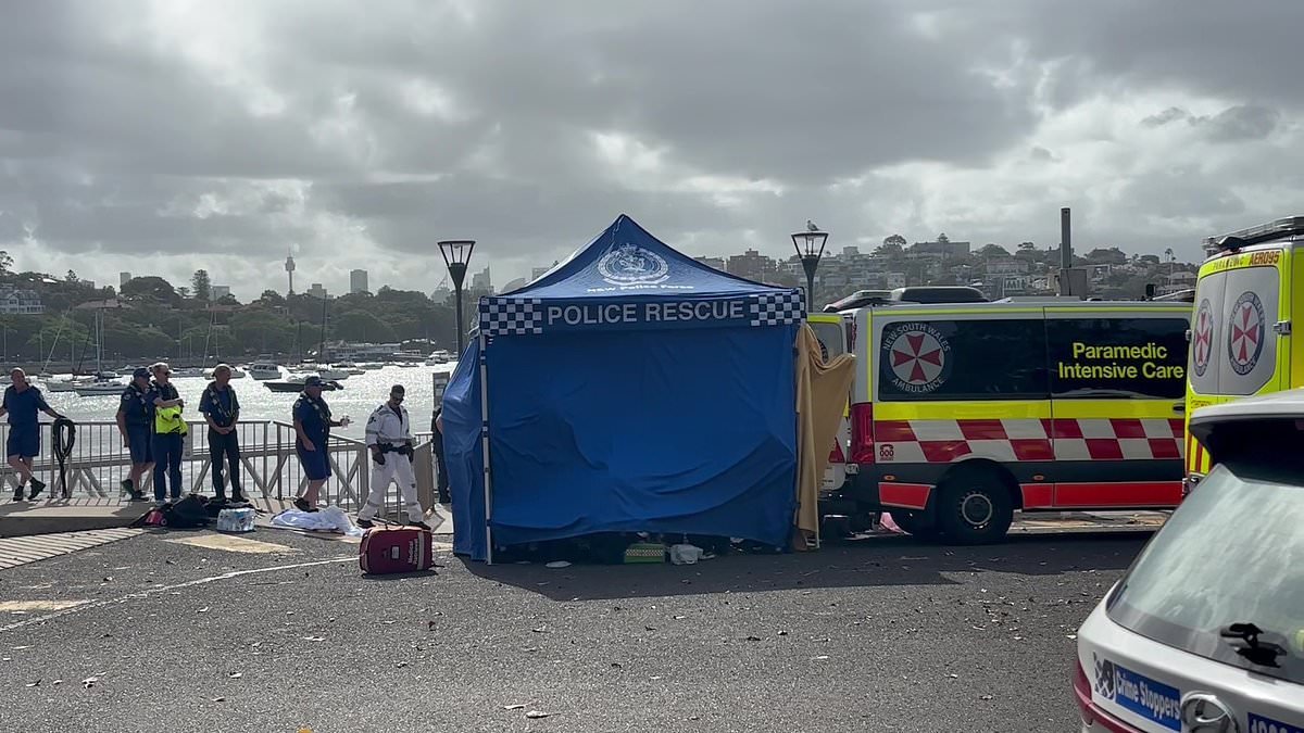 Shark attack in Sydney Harbour: Boy is fighting for life after being pulled from the water at Nielsen Park and airlifted to hospital