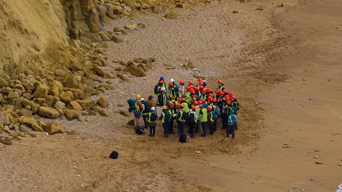 More than 40 geology students risk their lives to stand under 150ft crumbling cliff - ignoring warning signs about rock fall