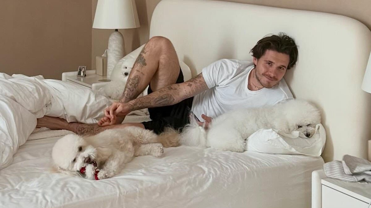 Nicola Peltz shares pictures of her love nest with Brooklyn as he lounges on their bed and declares his love with gushing remark - while the rest of his family publicly support Cruz's gigs