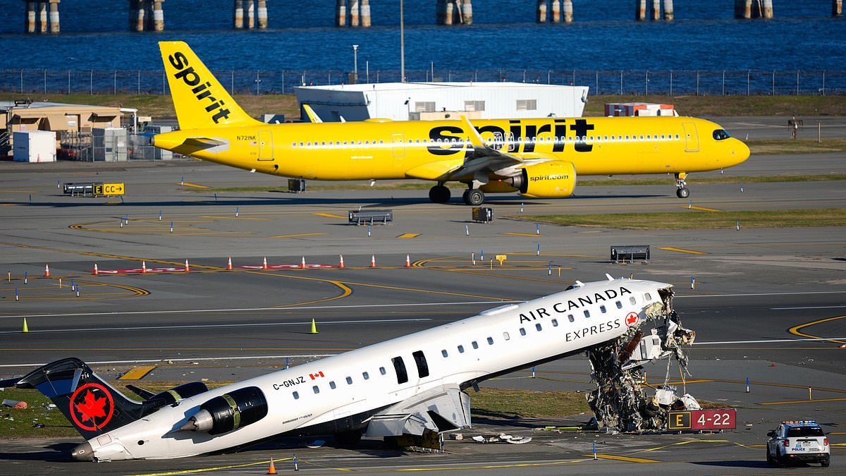 Shocking new LaGuardia theory that could CLEAR air traffic controller of responsibility for deadly plane collision... as nervous travelers are forced to taxi past wreckage