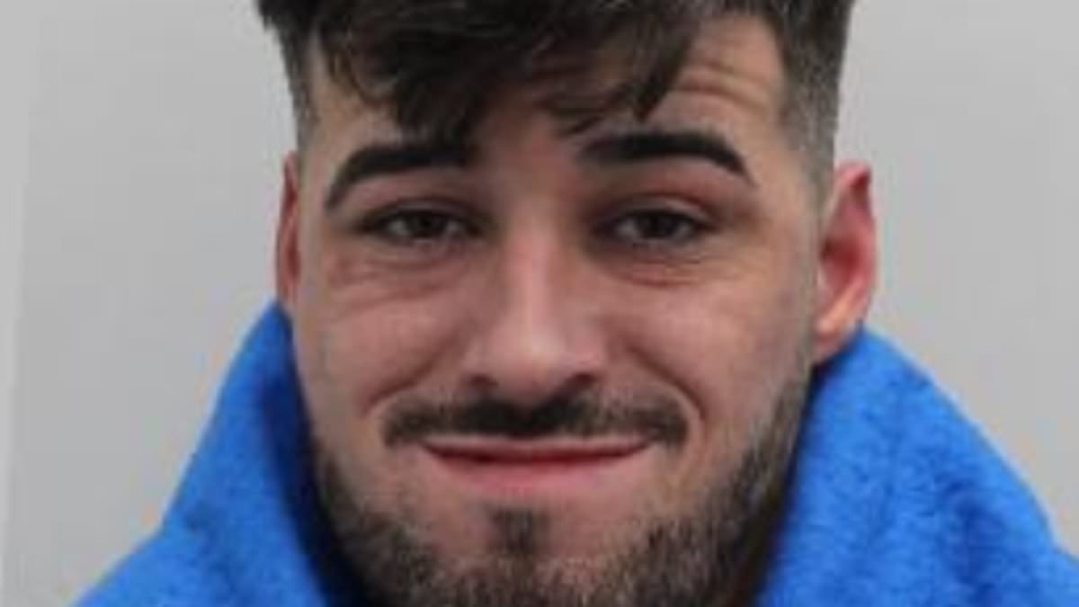 Driver, 32, who killed man as he mowed down pedestrians in Christmas Day car rampage in London's West End is jailed for 37 years