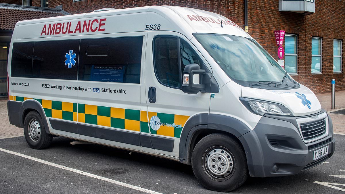 Ambulance with patient and paramedic inside 'is stolen from hospital' as man, 31, is arrested after urgent hunt