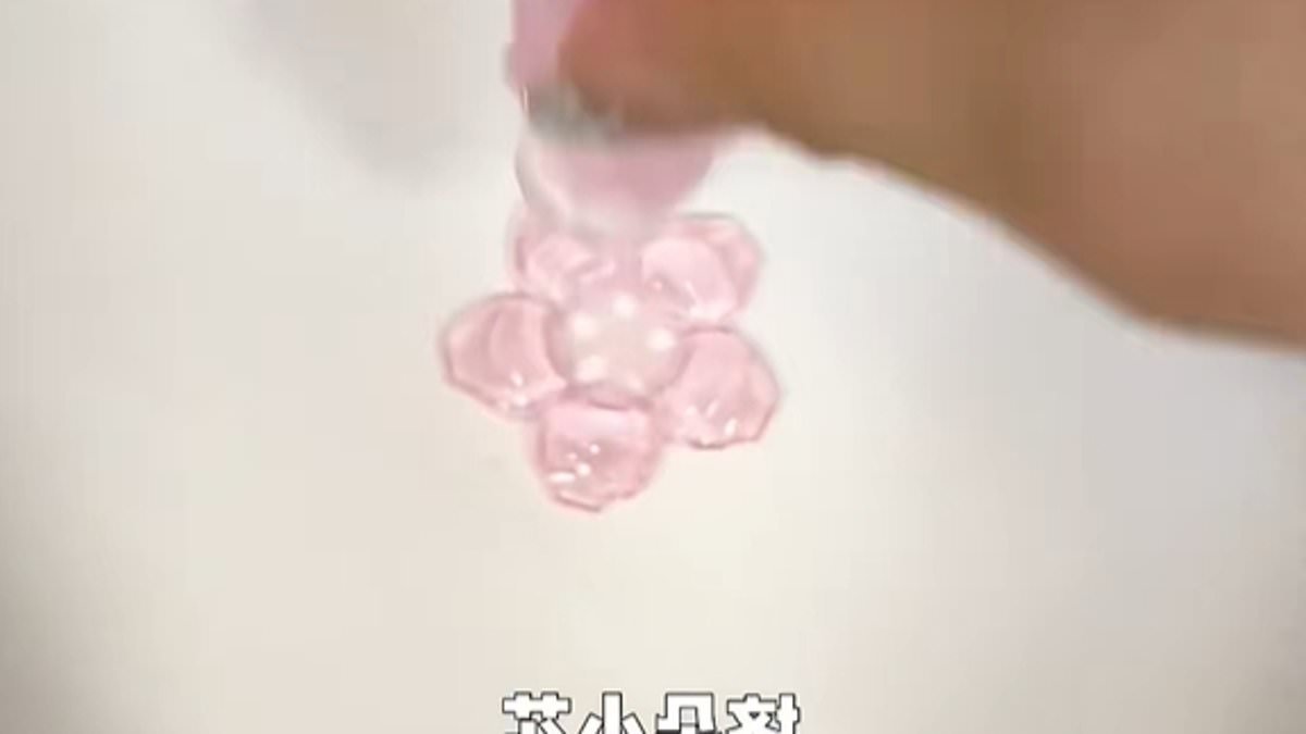 What people in the world's cleanest country use to scrub their homes: Incredible products from Taiwan including dissolving toilet brushes and jelly crumb catchers