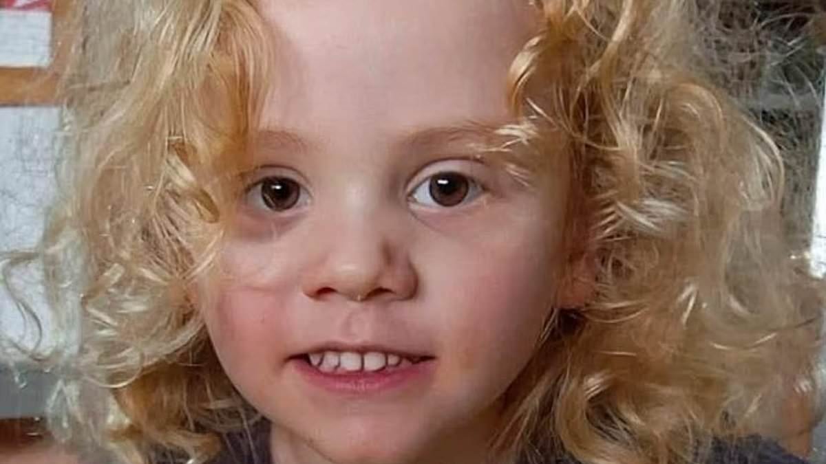 'Masterful tactic' deployed in Gus Lamont case: Ex-cop reveals police strategy behind public announcement - and the key piece of evidence that could crack the case