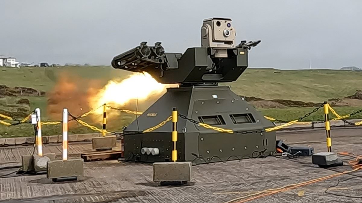 RAF Regiment gunners become 'aces' for first time by blasting Iran drones out of the sky as they defend British bases in Middle East