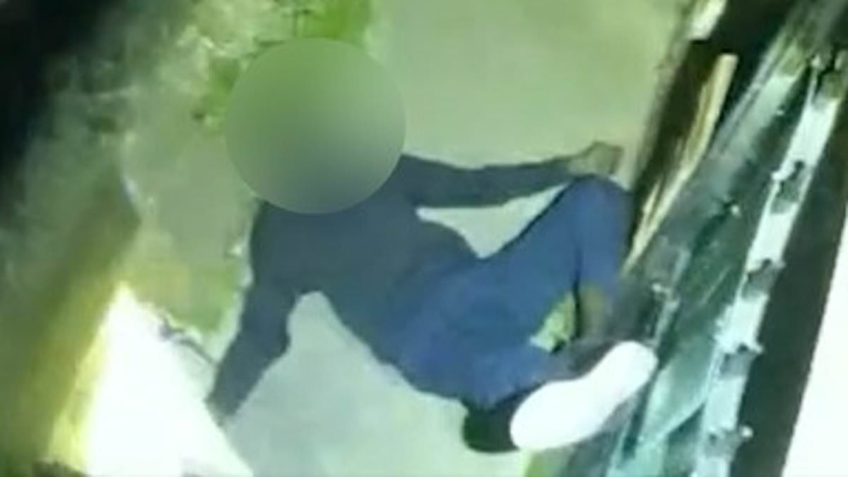 Moment police officer Tasers suspected burglar on shed before fall left him in wheelchair is shown in court