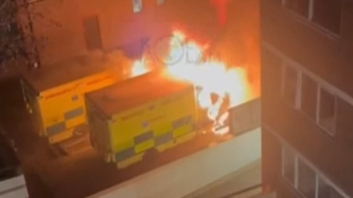 Israel 'fears Iran may be behind anti-Semitic firebomb attack' on four ambulances outside synagogue in Golders Green