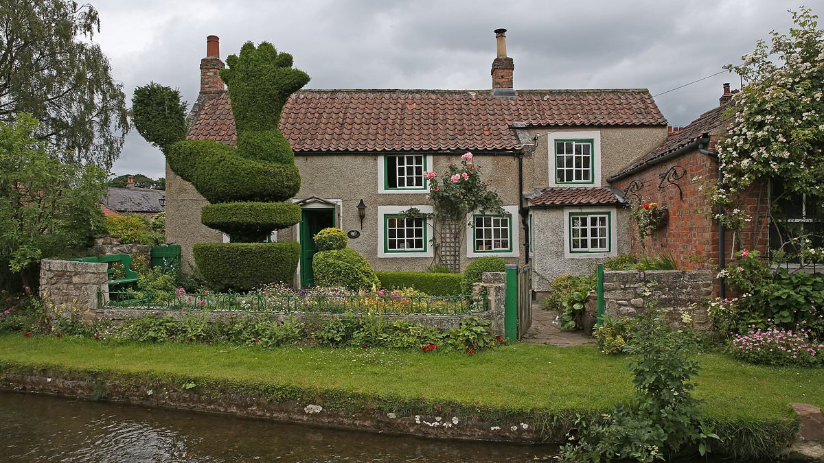 Yew cannot be serious! Cockerel hedge that was village landmark for 110 years is chopped down and replaced with gargoyle