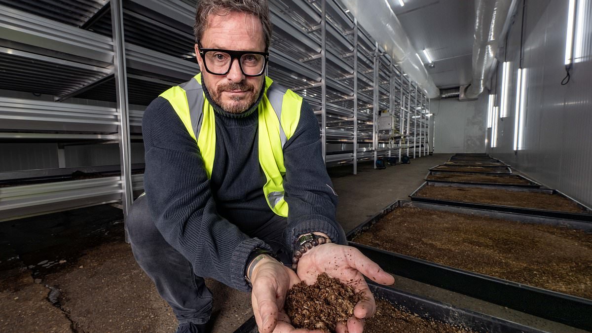 Ex-City financier builds UK's largest insect farm