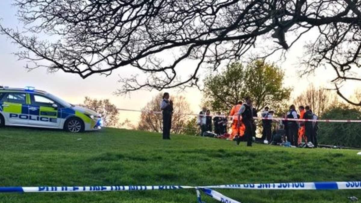 Man, 21, is dead and another is rushed to hospital after fight at London's Primrose Hill 'as crowds basked in the sunshine': Murder probe and manhunt is launched