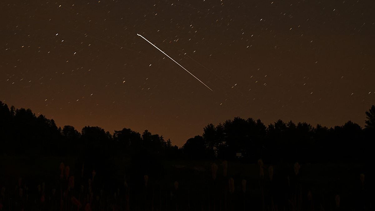 Look up this week! Lyrid Meteor Shower will peak in moonless skies with up to 20 shooting stars every HOUR - here's the best time to see it