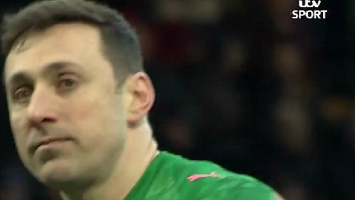 The most bizarre own goal EVER! Football fans left stunned as hilarious mix-up leads to ridiculous goal - so who was to blame?