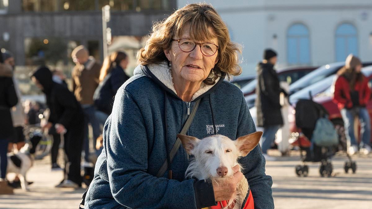 I came face-to-face with 'Britain's angriest man' in cycle rage attack: Grandmother reveals how notorious bike rider - jailed for TWO outbursts at women - screamed abuse at her after crashing into her dog