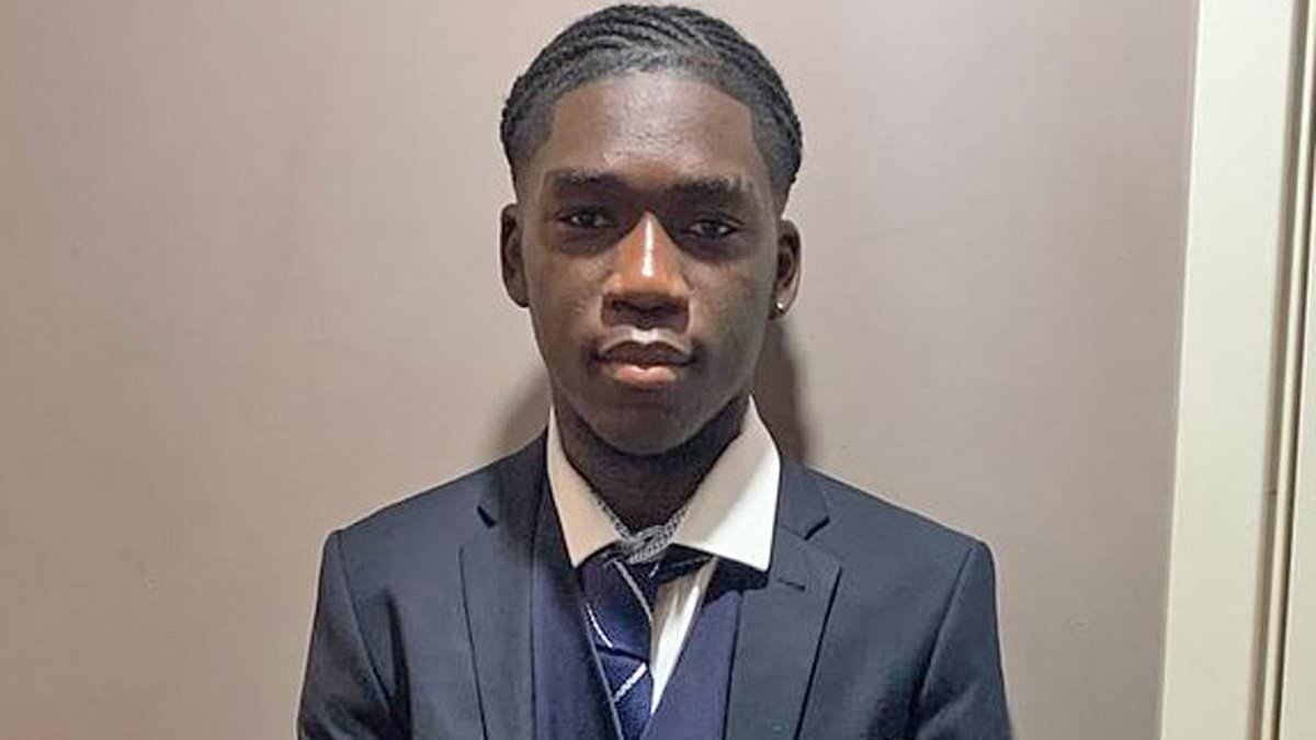 BMW driver, 20, admits killing British teenager months after he was freed from Dubai jail over holiday sex with 17-year-old girl