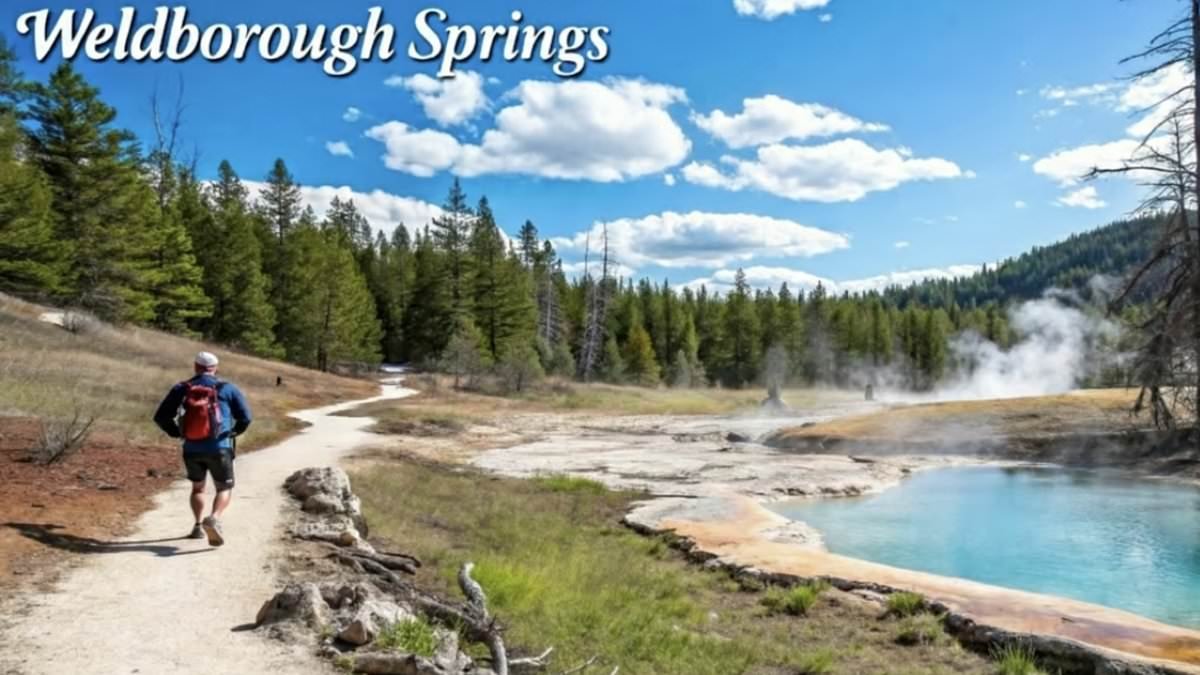 Coachloads of tourists 'duped by AI' after arriving at Tasmanian landmark that doesn't exist