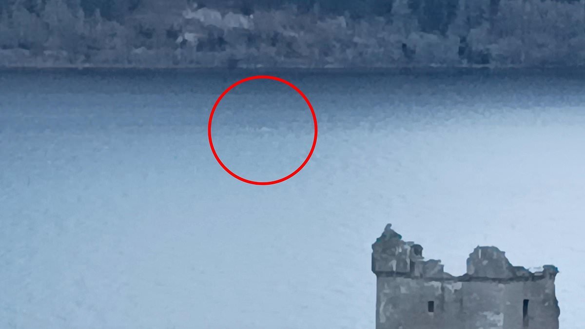 Loch Ness monster hunter is STUNNED as a fast-moving creature is filmed rising and sinking out the water - as experts say 'no animal we know of can reach this speed'