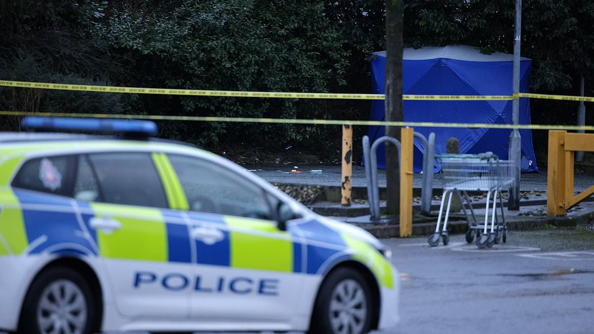 Three teenage schoolboys 'took it in turns' to rape 13-year-old girl in Rochdale supermarket car park before sharing footage of the attack, court told