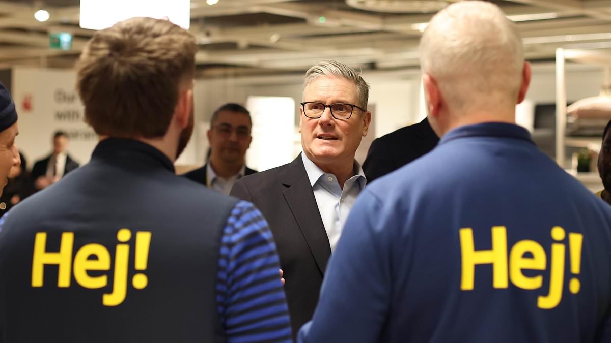 JAN MOIR: Starmer's Ikea insult shows what a Tarnestad knob he is (£5 for two)