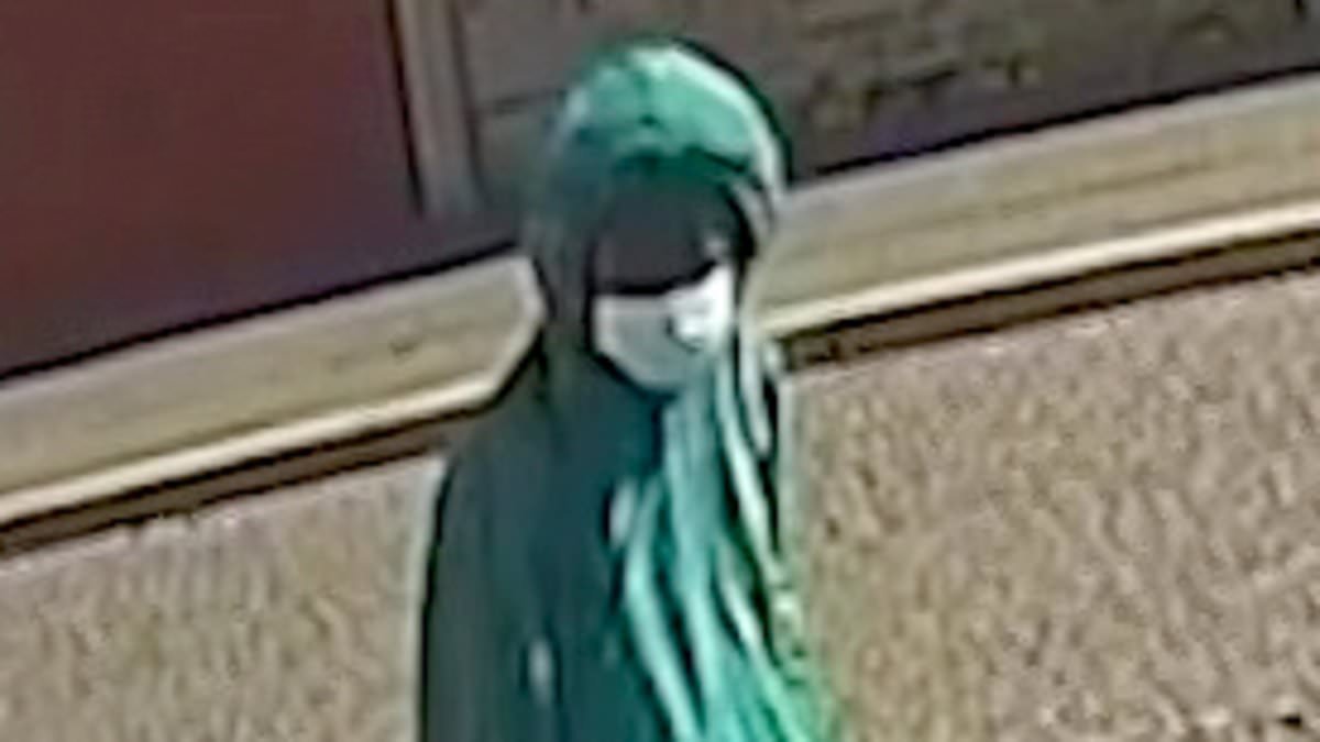 The 'signposted' tragedy no one did anything to stop: How Axel Rudakubana's parents, the police and social services failed to intervene as Southport killer spiralled out of control