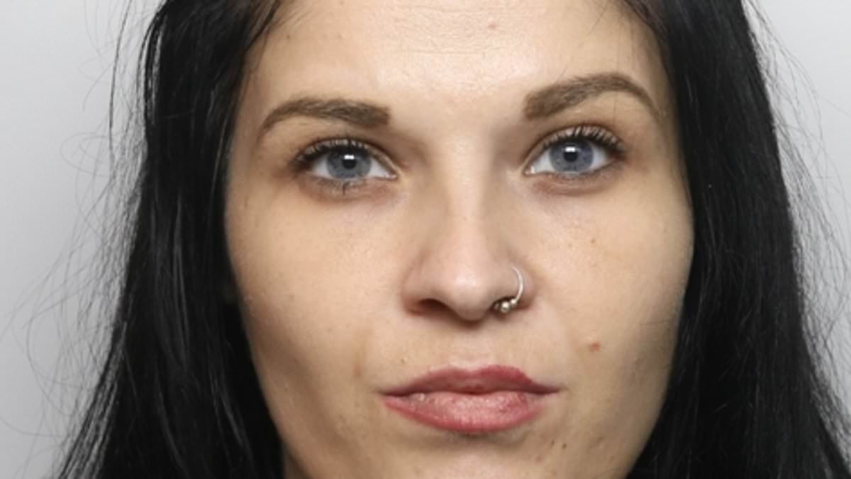 Two Romanian migrants who became professional shoplifters two months after entering Britain illegally are jailed for stealing £10,000 of women's clothing in just one day