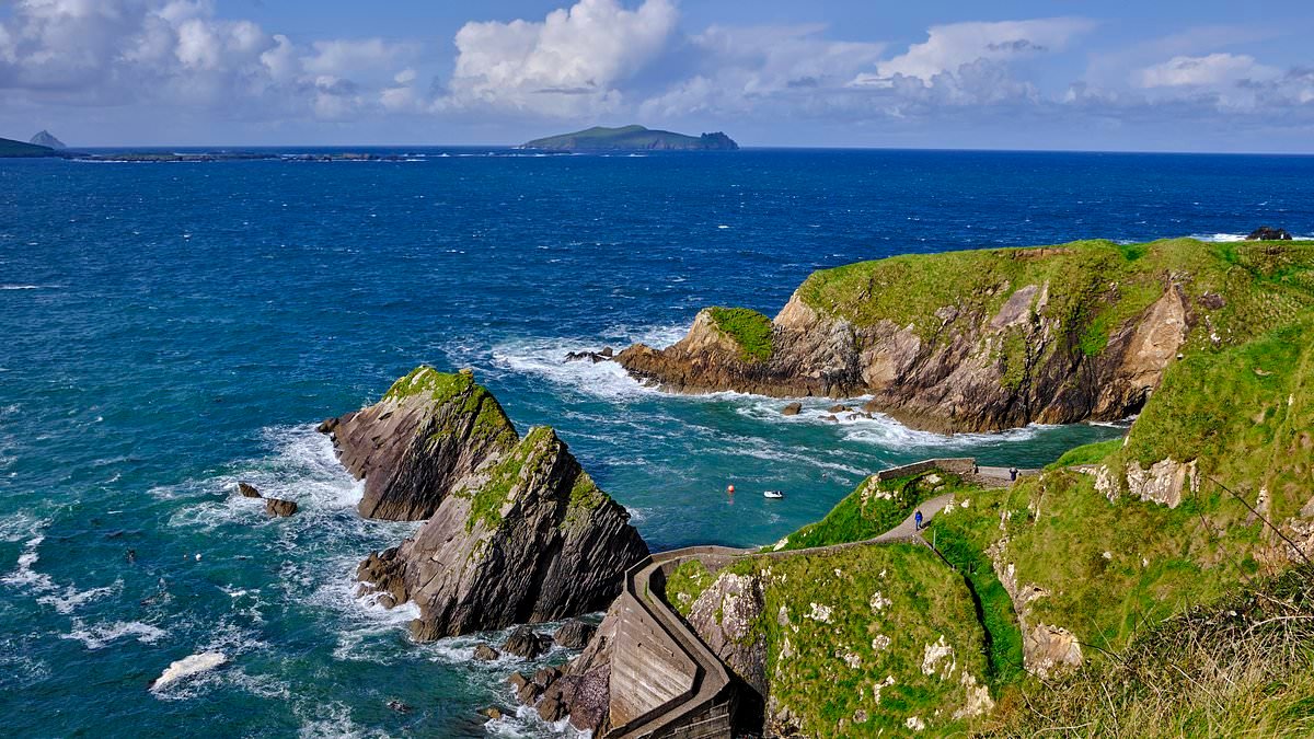 Americans visiting Ireland are now identifying as CANADIAN to try and distance themselves from Donald Trump, columnist claims